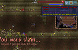 IMG_3734.jpeg