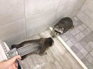 shower time.jpg