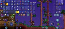 Screenshot_20240826_144353_Terraria.jpg