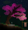 Capture_2024-09-11_13_27_07-1.png