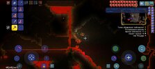 Screenshot_20240929_122939_Terraria.jpg