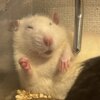 I'll get you.jpg