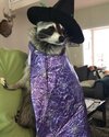 spoook.jpg