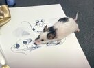 art.jpg