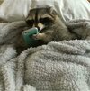 poorly.jpg