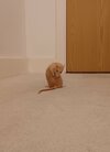 caught.jpg