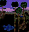 ForestShroom.png