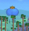 Untitled.gif