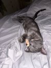 IMG_2021.jpeg