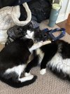 IMG_0581.jpeg
