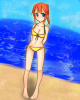 bikinimechanic.png