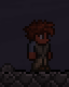 Capture 2016-02-13 11_43_49.png