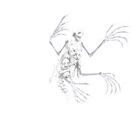 MassiveGhost