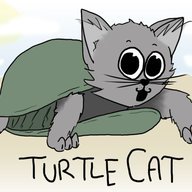 Mr.Turtle Cat