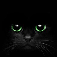 BlancNoir