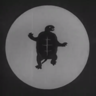 Turtlee