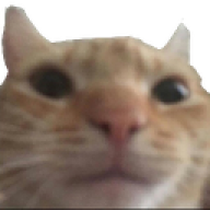 Vestlore