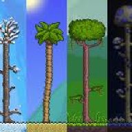 InvizibleSurfaceMushroom
