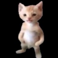 CATZzenUwU
