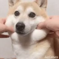 usermane