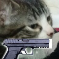 Gun Catt