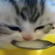 luv