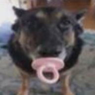 Gumm3