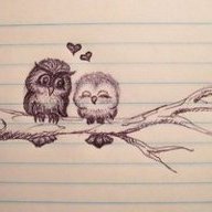 Bashful_Owl