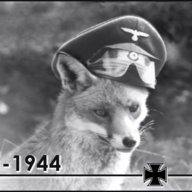 The Desert Fox