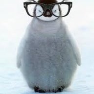 Officer Penguin