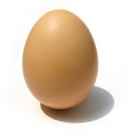 Isolated Egg