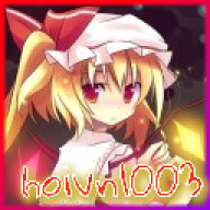 hoivn1003