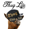 Thug_Life