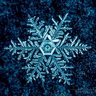 Icymusic1