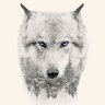 WhiteWolf