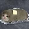 Potato cat