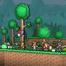 Larva_229