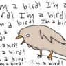 I'm a bird