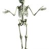 skeleton man