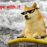 dangerdoge1