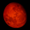 blood moon best moon🌳