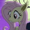 MaplePanc4kez