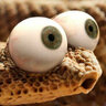 Snake_Snakus