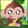 Monkey999Boy
