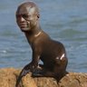 Seal the Seal
