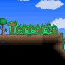 Terraeia rocks