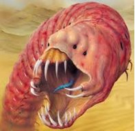 mongolian death worm real
