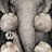 Babou268