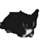 Omega omni