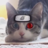 XDRDogex
